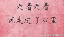 友情进入了我的视线