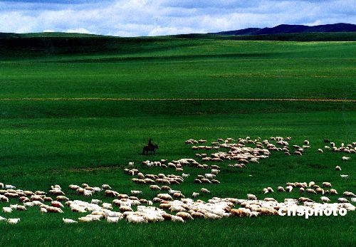 内蒙古草原