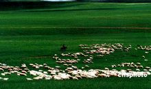 内蒙古的草原