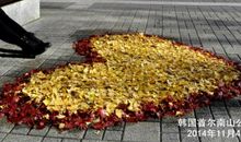 美丽的萳山公园