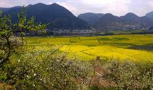 美丽的金海雪山