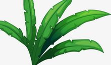 我就像一株小草