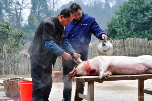龙门杀死新年猪