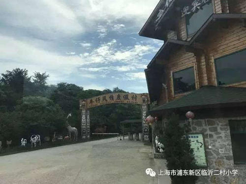 与知识共舞