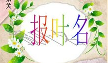 我是一片小树叶作文