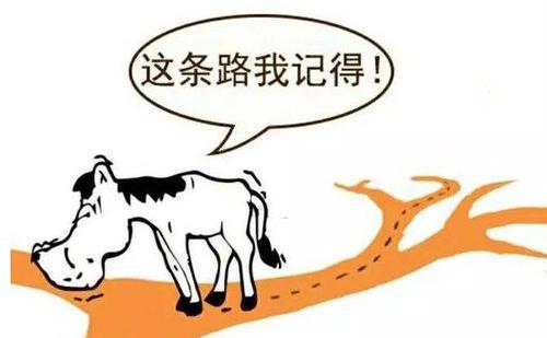 你猜对了吗？