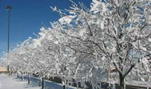 冬天里的第一场大雪