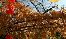 坚强地面对困难