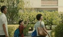 我渴盼再次见到她