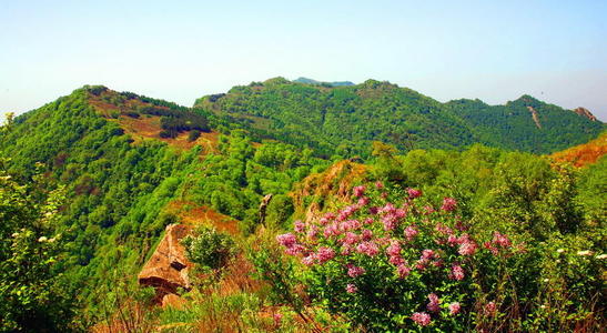 美丽的大帽山