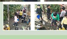 我发现了小苗的秘密