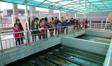 参观污水净化厂