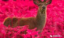 不经意间的温情