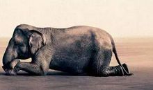 谁终将声震人间