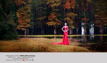 森林中的脚步声