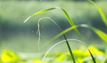 有一种温暖叫师爱