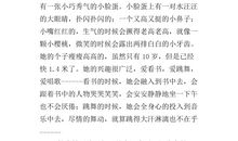 猜猜他是谁作文500字