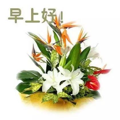 早晨，美好的开始