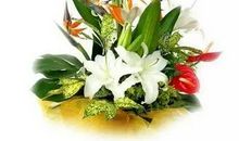 早晨，美丽的开始