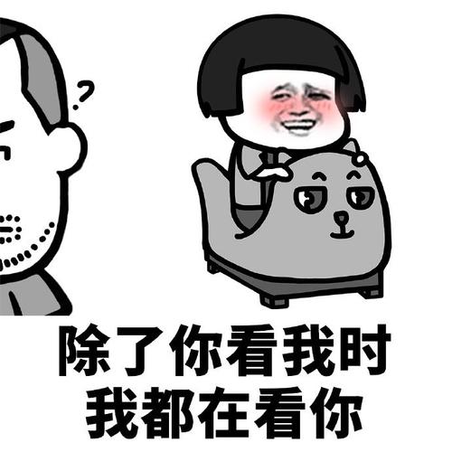 偷看一本书