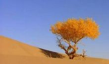 贫穷也是一笔财富