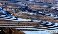 忘不了我的故乡