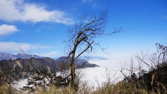 游览盘龙山