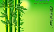 竹子的启示作文500字