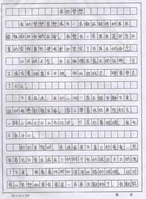 今天我在煮300个字
