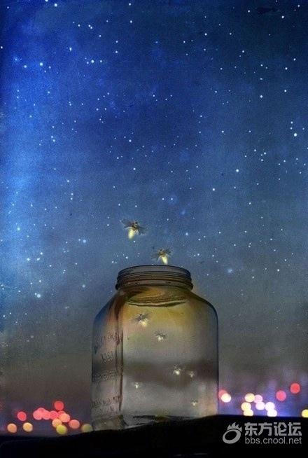 夏夜散文
