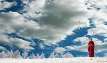 在春天，一切都还来得及