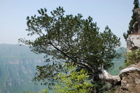 爬神龙山