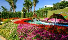 美丽的花草公园