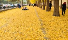 秋天是一种美丽的风景线