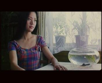 为过去欢呼