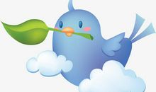 学会了飞翔的小鸟