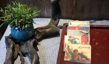 游麦家旧居有感