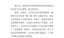 介绍一座城市的作文