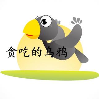 乌鸦怎么了