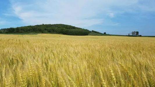 故乡的四个季节