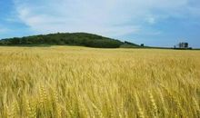 家乡的四季美景