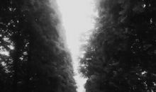 还好只是一场梦