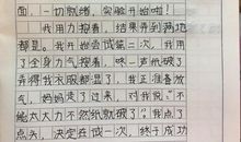 关于做实验作文