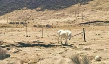 照片中的深情一直都在