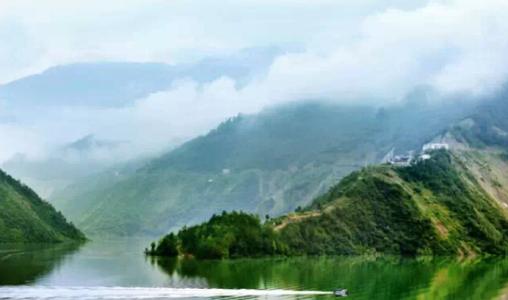 野鱼巴山