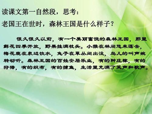失落的森林王国
