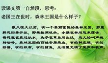 消失的森林王国