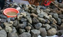 一块石头的见闻