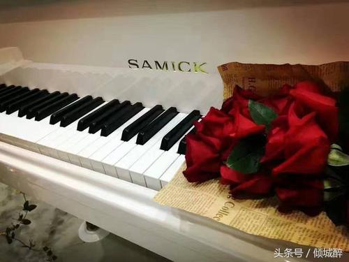 钢琴老师的手