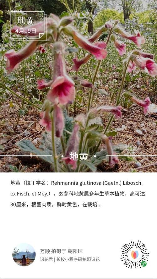 欢迎春雨